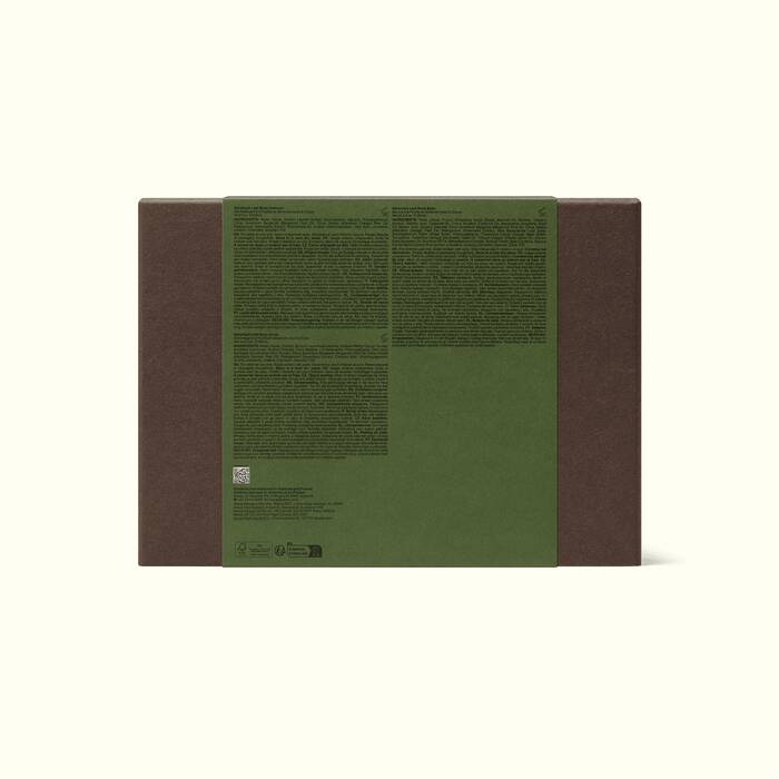 Party in the Greenhouse - We Wander