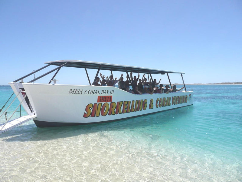 1 Hour Coral Viewing Cruise - We Wander