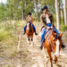 1 - Hour Horse Ride - Bushland Trail - We Wander