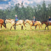 1 - Hour Horse Ride - Bushland Trail - We Wander