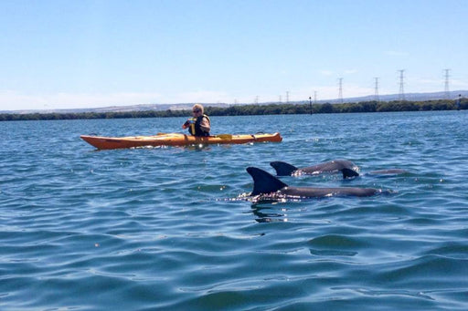 1 Person Kayak Hire - We Wander