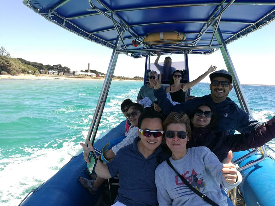 1.5Hr Dolphin And Seal Watching Eco Boat Tour Mornington Peninsula - We Wander