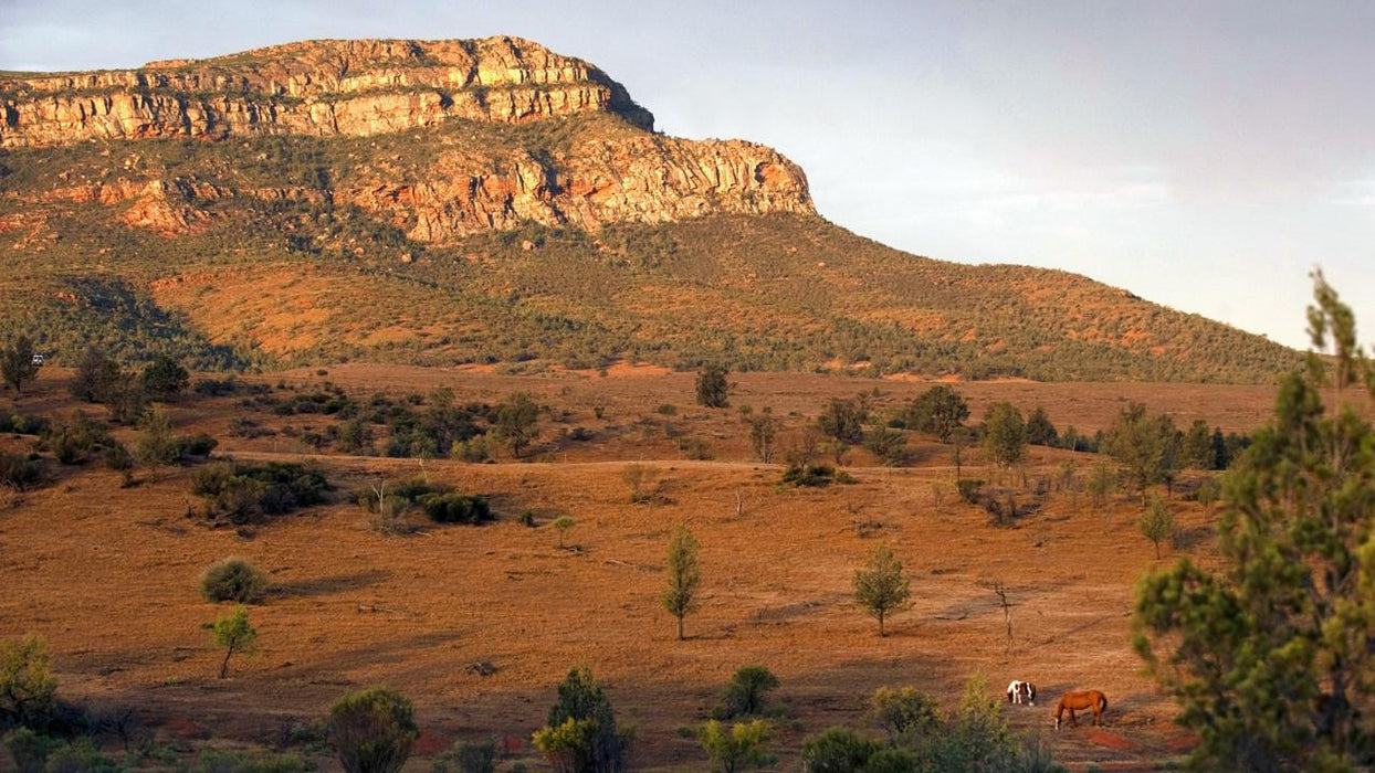 3-Day Flinders Ranges & Outback Small Group 4Wd Eco Safari