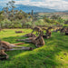 2 Day Tour - Two Of Tasmania's Best - We Wander