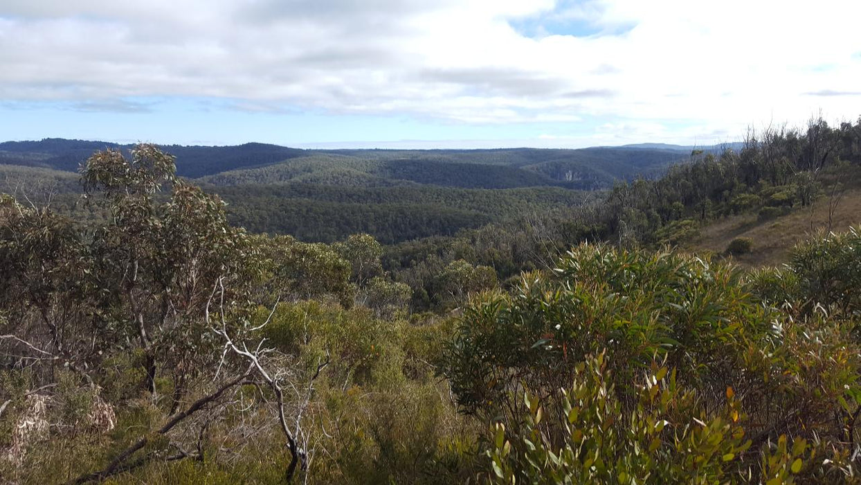 E- Bike (Electric) Guided Tour - Half Day - Hanging Rock - Blackheath