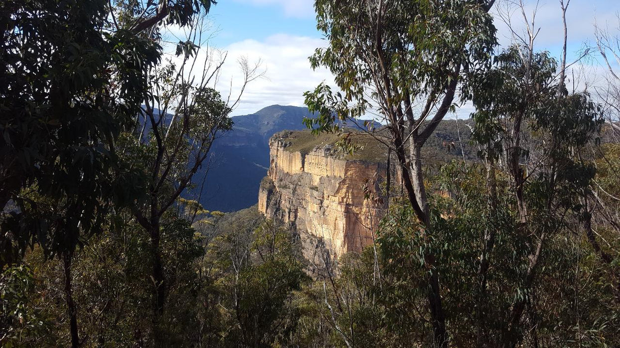 E- Bike (Electric) Guided Tour - Half Day - Hanging Rock - Blackheath