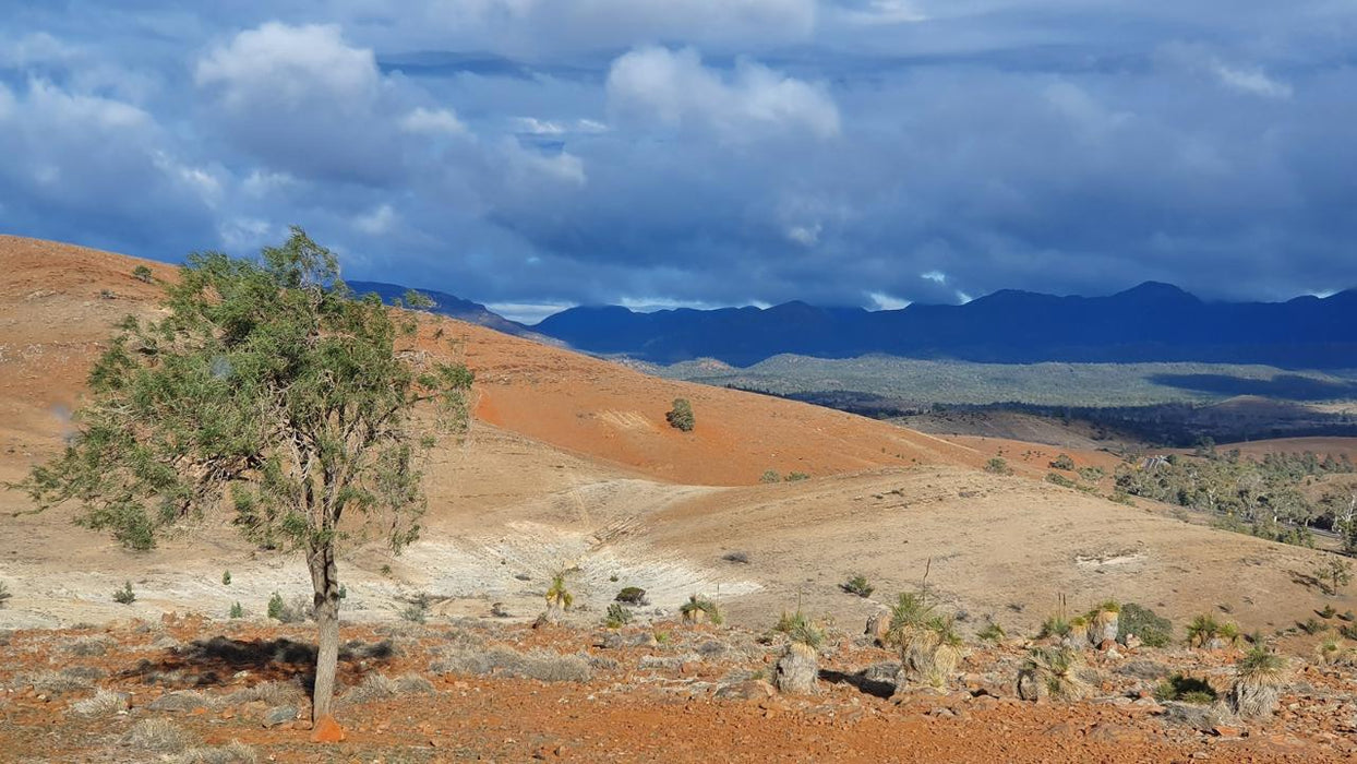 3 - Day Flinders Ranges & Outback Small Group 4Wd Eco Safari - We Wander