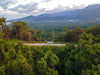 Half Day 4Wd Daintree Tour