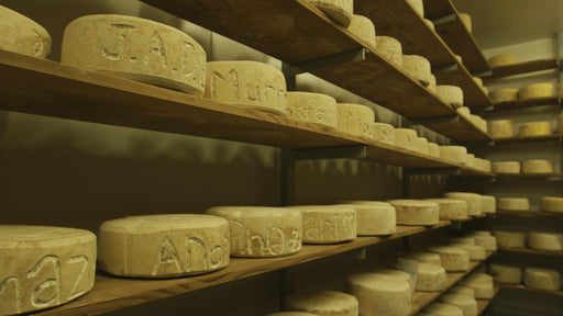 Bruny Island Traveller