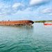 90 Minute Port River Dolphin & Ships Graveyard Cruise - We Wander