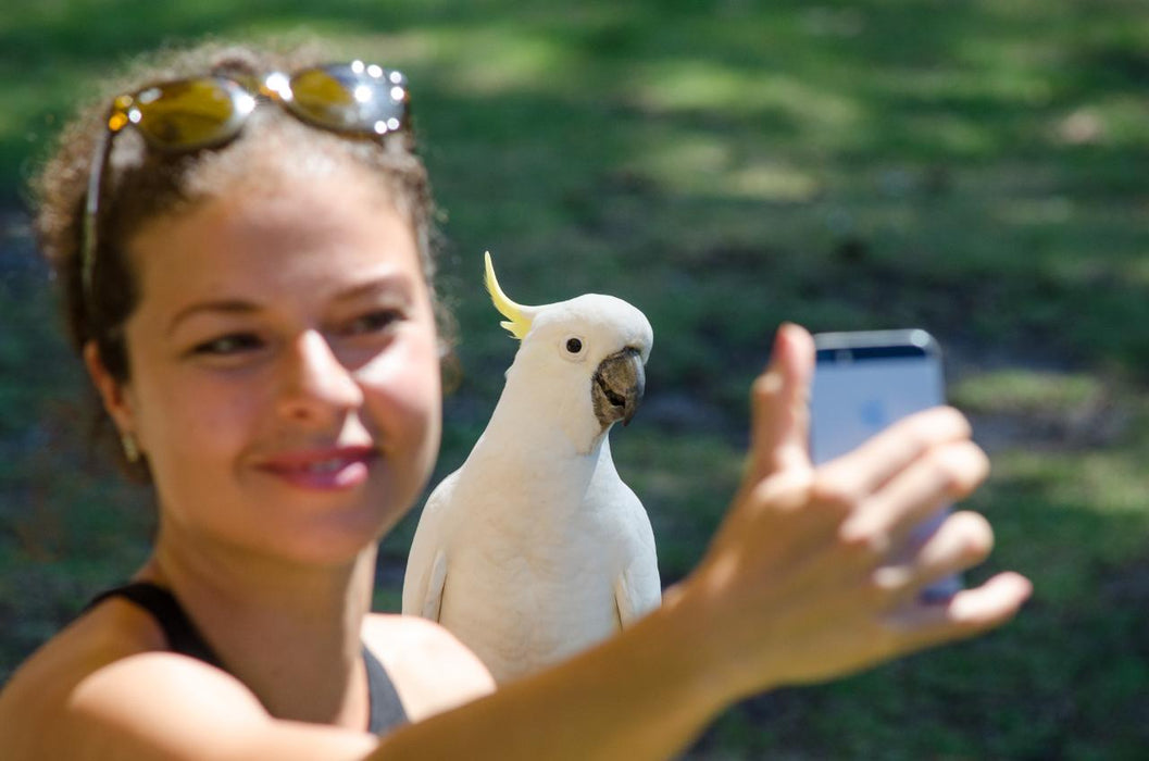 Autopia Tours: Adelaide To Melbourne 3 Day Tour 