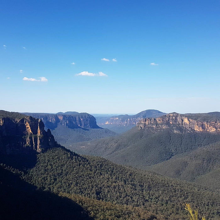 Blue Mountains With Kids