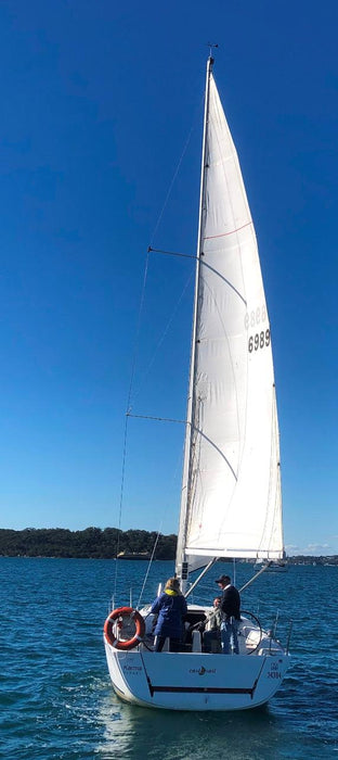 Snorkel With Sea Dragons
