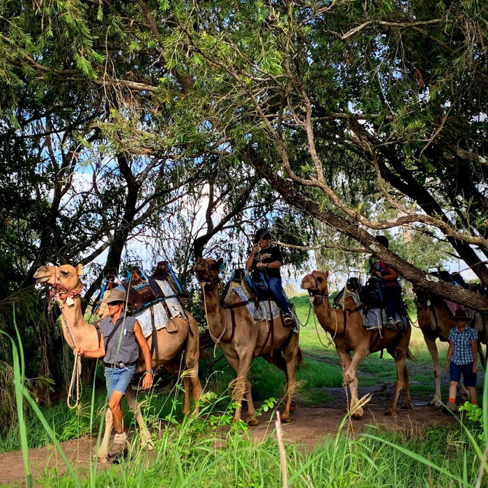 Self-Guided Cycle Tour