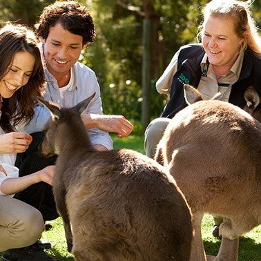 Deluxe Safari Adventure & General Entry For Two