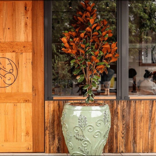 A Refined Wine & Dine At Two Blind Mice - We Wander