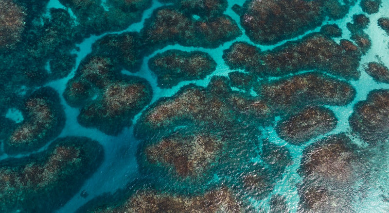 Abrolhos Islands Scenic Flyover - We Wander