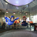 Airborne - Ifly Melbourne - We Wander