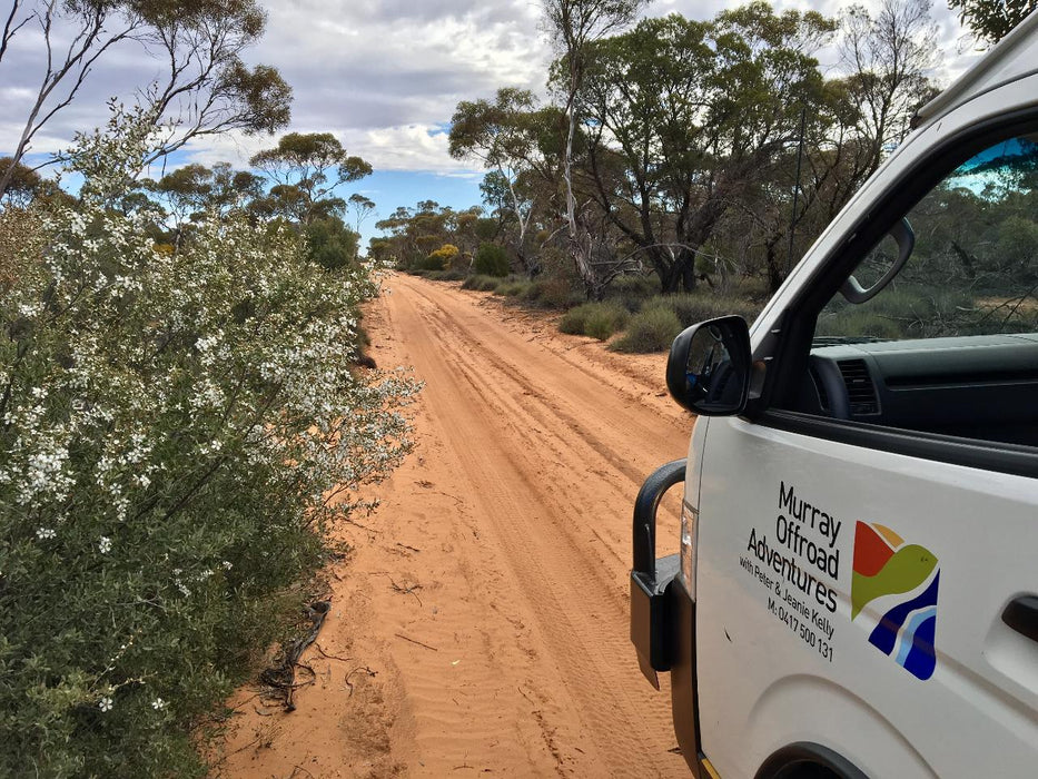 Australian Bush Delights - Hattah National Park Tour - We Wander