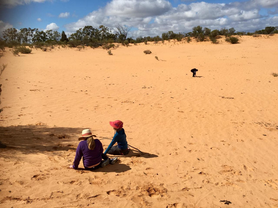 Australian Bush Delights - Hattah National Park Tour - We Wander