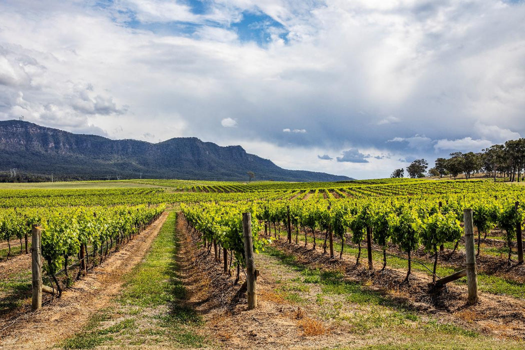 Autopia Tours: Hunter Valley Scenic Wine & Dine Day Tour - We Wander