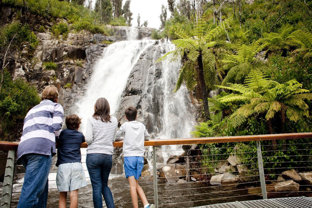 Autopia Tours: Lake Mountain Snow And Waterfalls Tour - We Wander