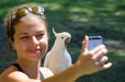 Autopia Tours: Melbourne To Adelaide 2 Day - We Wander