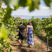 Bellarine Peninsula Food & Wine Taste Trail - We Wander