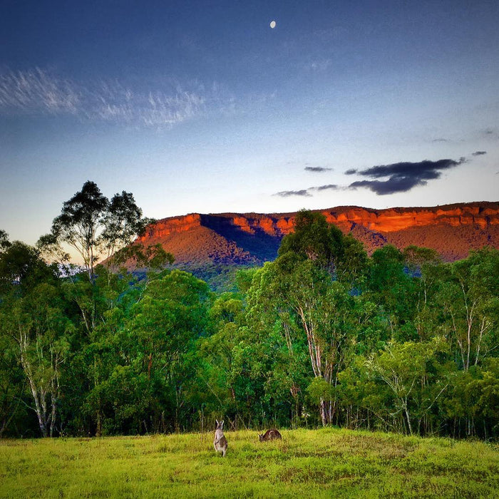 Blue Mountains Day, Sunset Tour & Glow Worms Night Adventure - We Wander