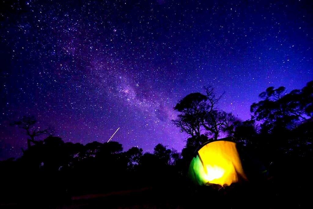 Blue Mountains Into The Wild Overnight Camping 4Wd Off Road Wilderness Adventure + River Cruise. - We Wander