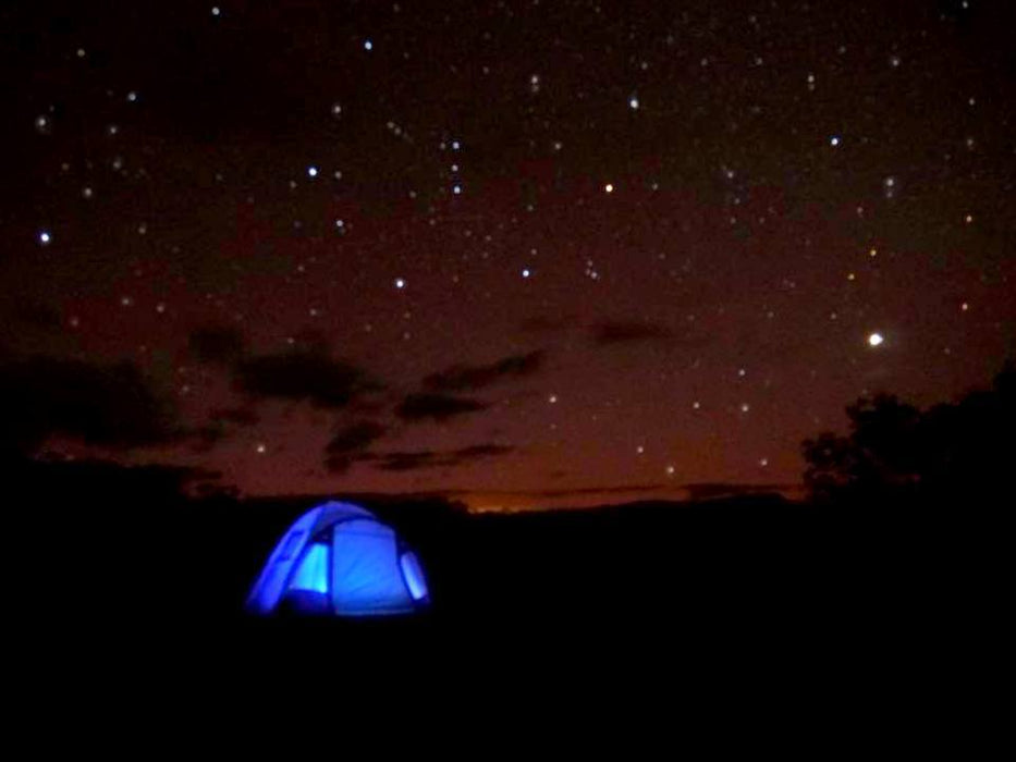 Blue Mountains Into The Wild Overnight Camping 4Wd Off Road Wilderness Adventure + River Cruise. - We Wander