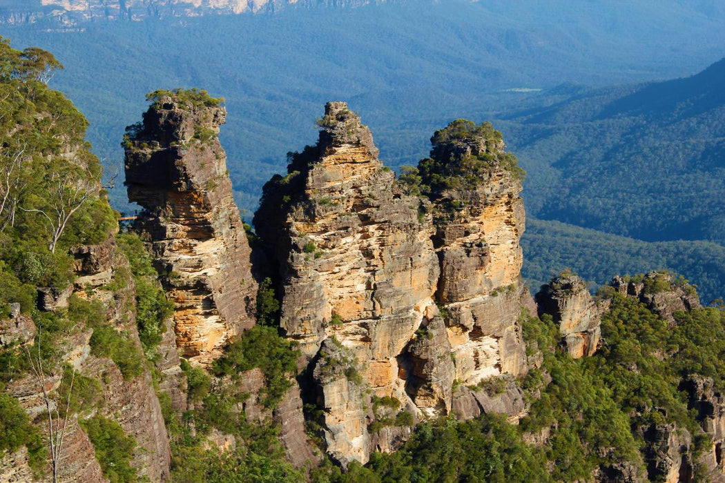 Blue Mountains Off The Beaten Track 4Wd Day Adventure Wildlife + River Cruise - We Wander