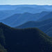 Blue Mountains Off The Beaten Track 4Wd Day Adventure Wildlife + River Cruise - We Wander