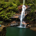 Blue Mountains Off The Beaten Track 4Wd Day Adventure Wildlife + River Cruise - We Wander