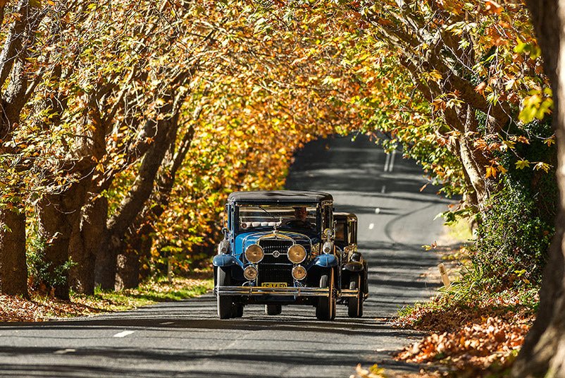 Blue Mountains Vintage Cadillac High Tea Private Tour. 3 Hour Experience. Includes High Tea At The M - We Wander