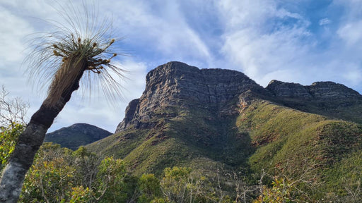 Bluff Knoll Hiking Experience - We Wander