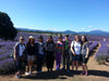 Bridestowe Lavender Farm Shuttle - We Wander