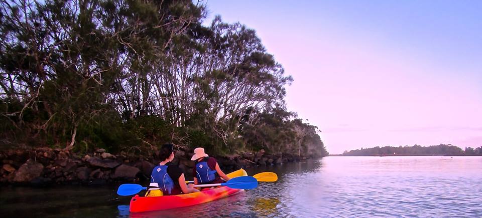 Brunswick River Nature Kayak Tour - We Wander