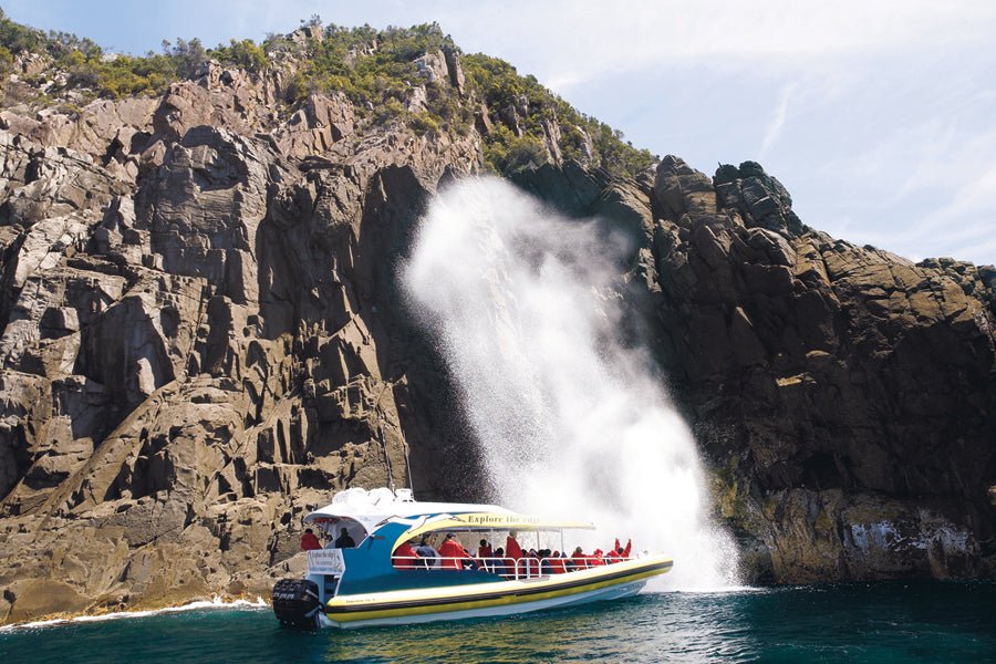 Bruny Island Cruises 3 Hour Cruise With Kettering Bus Pickup - We Wander