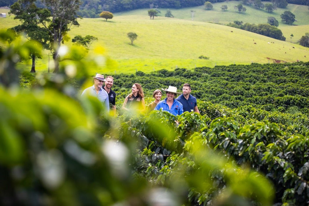 Cairns Tablelands Tasting Tour - We Wander