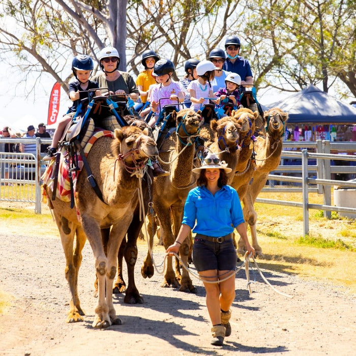 Camel Ride - We Wander