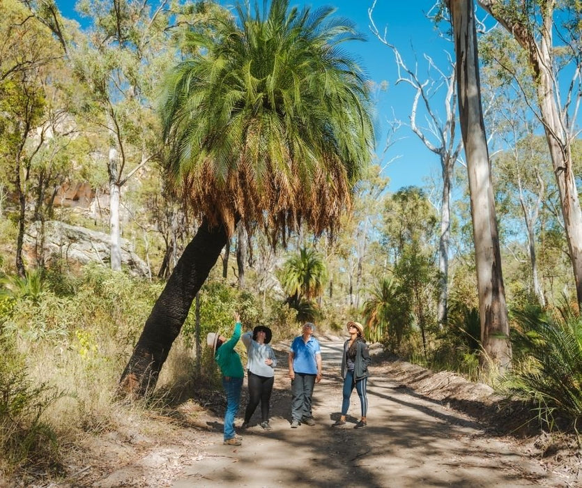 Carnarvon Walking Adventure - We Wander