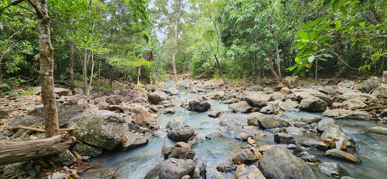 Cedar Creek Waterfalls - We Wander