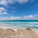 Coffin Bay - Oyster, Off - Road Sightseeing 4Wd Full - Day Tour - We Wander