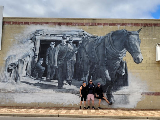 Collie Town Mural Tour Half Day - We Wander