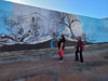 Collie Town Mural Tour Half Day - We Wander