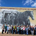 Collie Town Mural Tour Half Day - We Wander