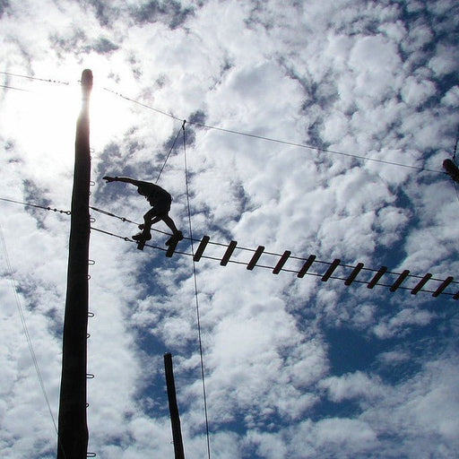 Commando Course & High Ropes - We Wander