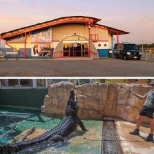 Croc N History Explorer Ticket - We Wander