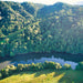 Crocodile Express Daintree Rainforest & Wildlife Cruise From Daintree Ferry Gateway - We Wander